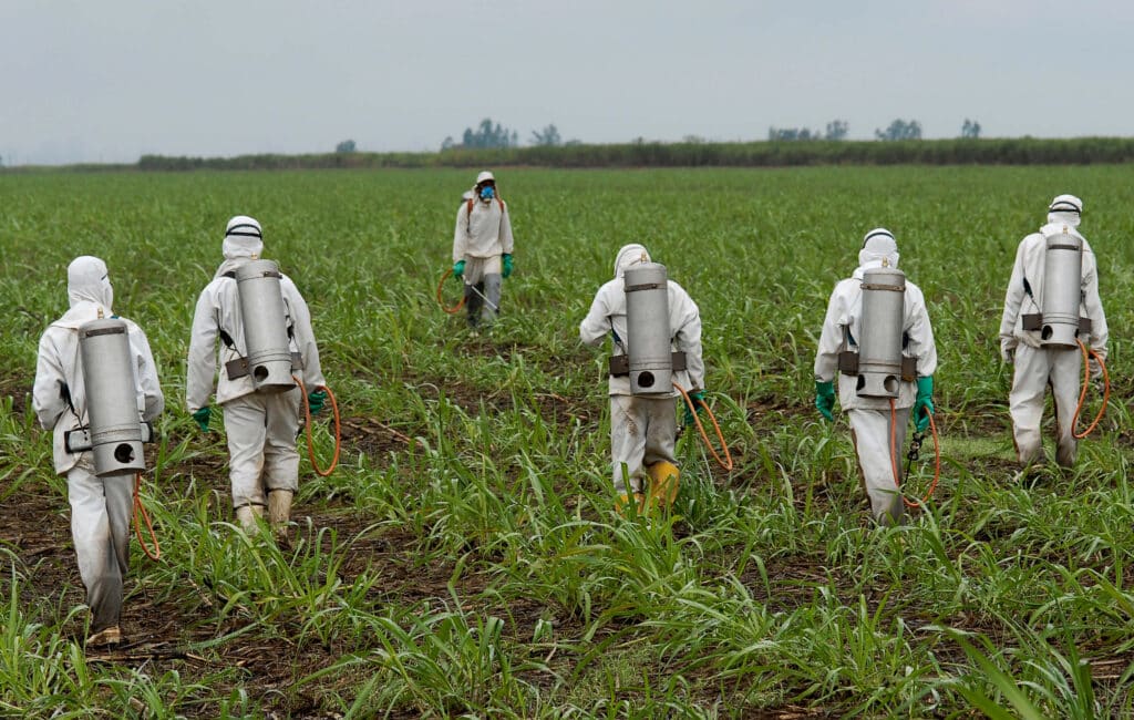 Individuals spraying dicamba on crops in hazmat suits