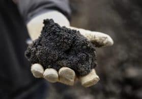 A handful of black coal tar.