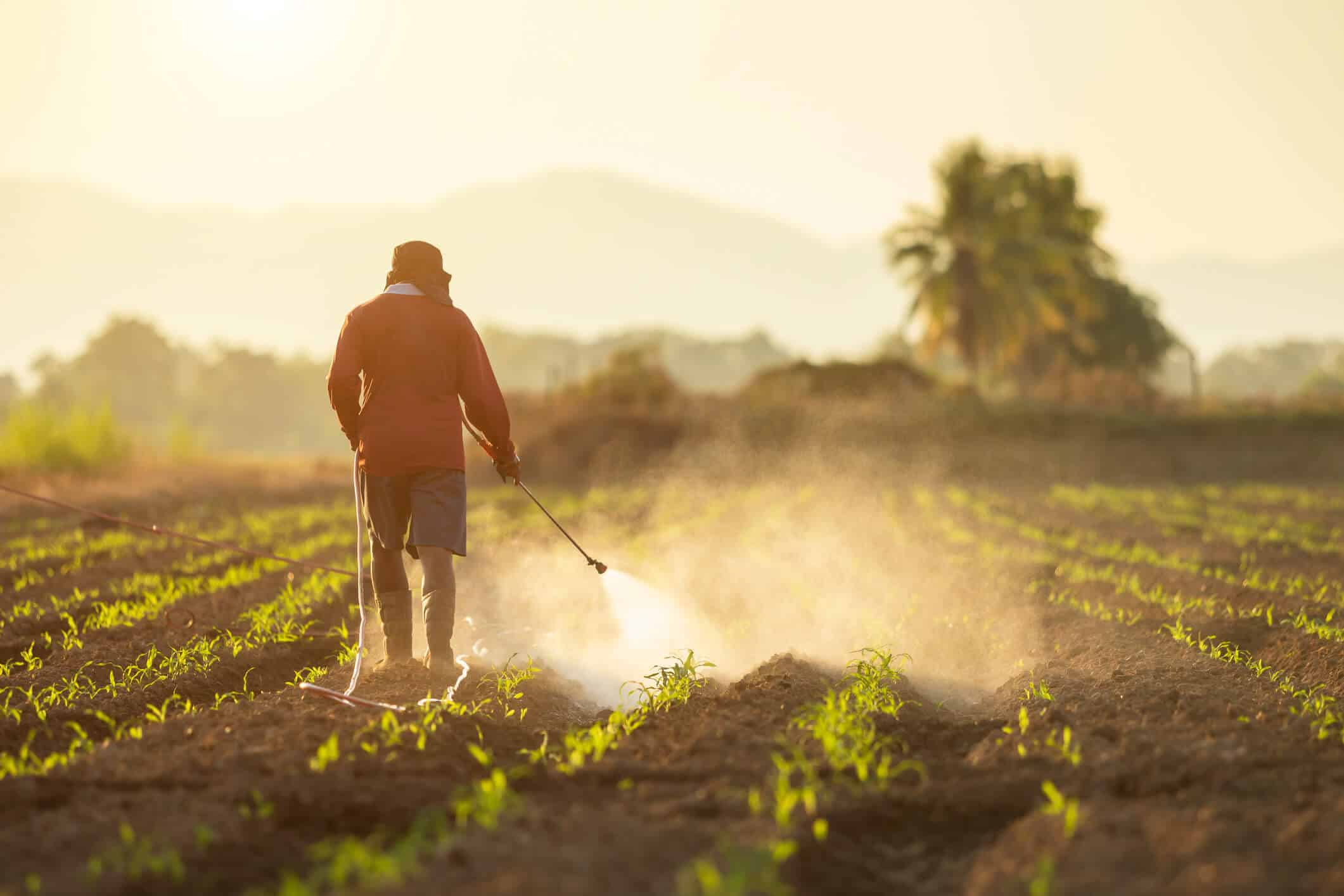 farmer-spraying-pesticide
