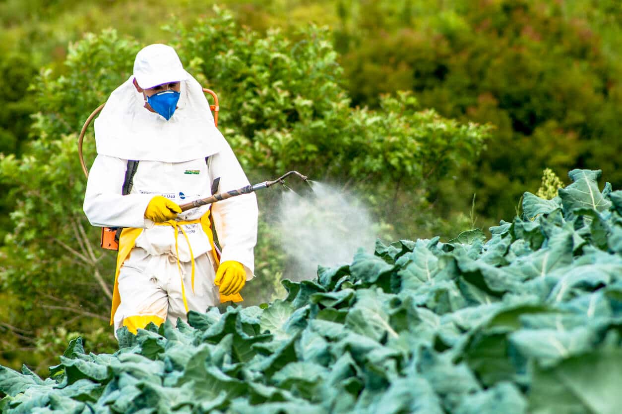 pesticide-safety